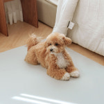 개놀자 슬림 실리콘 강아지 롤매트 애견 고양이 미끄럼방지 매트 그레이, 110x400cm : 개놀자펫