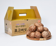 국내산(충남예산) 표고버섯차 1통, 60g : 불원농장