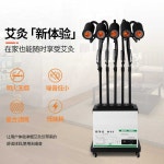 쑥 뜸 기계 한의원 치료 근육 완화 휴대용 물리치료 3헤드 : 업라이즈 쇼핑몰