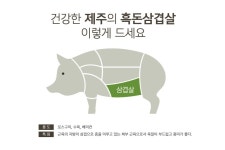 제주흑돼지삼겹살 : 제주 하영옵서 농수산