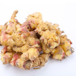25년 수확 생강 서산생강 햇생강 특상품 1kg, 1개 : 친환경팔도