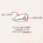 브리더랩 덴탈만두 애견간식 덴탈껌 스트레스해소 닭고기, 100g, 1개 : 파워도그