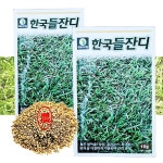 운동장 산소 정원 잔디 씨앗 한국 들잔디 10g : 농사농