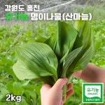 강원도 유기농 명이나물 생잎 산마늘 무농약 생 명이잎 2kg, 1개 : 퍼니몽마켓