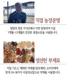 프리미엄 흑염소즙 추출액 가지산 자연방목 유기농 흑염소 엑기스 진액 100ml 30개입 : 커스텀마이징