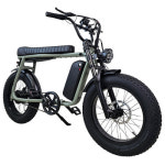 자토바이 2인용 전기자전거 벤틀러스 XT7 자전거도로 48V 500W 20Ah 자토바이크 : 샘바이크