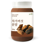 프리미엄 러시아 차가버섯 분말 가루 300g : 동의한재 허브마켓 주식회사