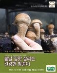 [100% 국내산] 자연산 송이를 닮은 고기식감 참송이 (가정용) 500g, 1개 : 푸룸네이쳐