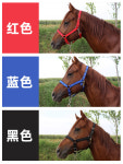 굴레 승마 재갈 안장 제갈 블랙 웨빙 말하네스 얼굴 소가죽 악세서리 밧줄 미디움 레드 스몰 어깨 높이 1.1미터 이하 : 설원위의마켓