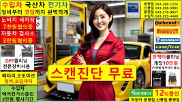수입차 정비소/분당 서울 수원 용인 천안 대전 광주 안산 부품 직수입 쇼핑몰 업체 중고 : 자동차의 모든것 착한카