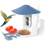 라이브 스트리밍이 포함된 2.3K HD AI 태양광 발전 Wi-Fi 조류 피더 애호가를 위한 1.5L 야외 Frie를 완벽한 선물 : 하루코퍼레이션28