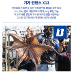 [바낙스]기가 인텐스X13 다크그린 0.6~8호 200m.고강도 13가닥교직 1m마킹 PE합사.다운샷/라이트지깅/타이러버/선상루어.쭈갑이/문어/가물치... 