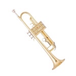 입문용 트럼펫 초보자 악기 B플랫 취미 연주 골드 : TransLink
