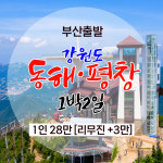 강원도 동해·평창 1박2일 : 동그라미여행사