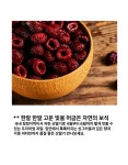 국내산 산딸기 생과 500g : 더더채움몰