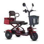 할리 전기 삼륜차 스쿠터 납산 노인 농촌 장애인 세발 미니 삼륜오토바이 3륜전기스쿠터 : 누리23