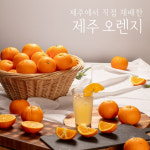 제주에서 직접 재배한 과즙팡팡 고당도 오렌지 2.5kg 5kg 10kg : 상대과원x우리농장