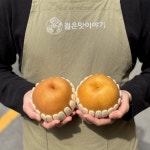 신고배 배 제철과일 프리미엄과일 낱개구매 젊은맛이야기 : 젊은맛이야기