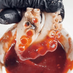 [신선창고] 서해안 활 쭈꾸미 1kg : 신선창고1993