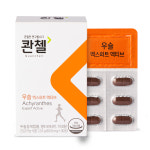 콴첼 우슬 엑스퍼트 액티브 2BOX/1개월 : 에이치엘비제약 헬스케어