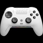 스커프 컨트롤러 SCUF ENVISION PRO 무선 게임 PC용 Revival : 글로벌잡화마켓