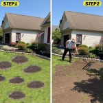 EAGWON 36 X10 잔디 평준화 갈퀴 | 잔디, 손잡이가 - 골프장, 다중 위한 토양, 표면 농장 긴 야드 고탄소 및 있는 정원 관리를 강철 조절 가능한... 