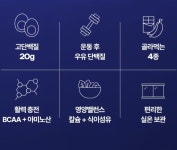 랩노쉬 프로틴 드링크 국산 농수산물 성분 4가지 맛 버라이어티 260ml, 24개 : 코코셀렉