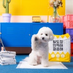 개님의패드 강아지 배변패드 중형 45x60cm 1팩 총 70매 : 펫라인 시스템