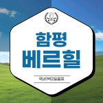 전라도 함평 베르힐cc 1박2일 골프패키지 : 자이언트 골프