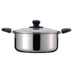 펄금속 일제 양수냄비 22cm 유리냄비 뚜껑포함 인덕션가능 퀸테스 H7771 : MONSTERS STORE