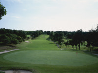 [치바현/나리타 골프 투어] 도쿄완 컨트리클럽 18홀 라운딩 (왕복 픽업 선택가능) : 주식회사 덕아웃