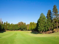[치바현/나리타 골프 투어] 요츠가이도 골프클럽 18홀 라운딩 (왕복 픽업 선택가능) : 주식회사 덕아웃