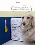 개린이날 강아지선물유치원답례품 강아지쿠키 강아지메달쿠키 : 강아지수제간식-디어도그