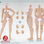 2025 Q1 TUNSHI STUDIO TS-FB-001/002 1/12 페인팅 여성 액션 피규어, 매우 유연하고 큰 작은 가슴 입상, 소년 인형, 13.5cm : 구대1등... 