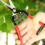 전지가위 과일 컷팅 절단 가지치기 원예 : 한가람도매