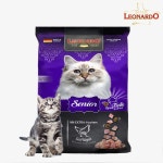 [샘플] 레오나르도 캣 고양이사료 키튼, 50g, 1개 : 청춘개밥