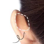 누운귀테이프 귀세우는테이프 엘프 요정 교정 스티커 1box : 하담컴퍼니