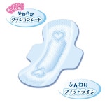 엘리스 신・맨살감감 날개 첨부 20.5 cm (보통~많은 날의 낮) 88장(22장×4 팩) : aispeed