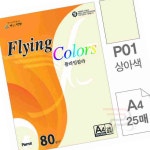 공공 A4 색상지 상아 25매 인쇄종이 : 공공마트