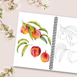 컬러링북 성인 과일 사과 / 태교 어르신 엄마선물 색연필 수채화 : 그림이좋은 사람들