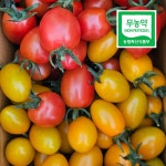 [무농약] 퇴촌 대추방울토마토 2kg, 1개 : 퇴촌 호동농장
