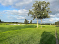 [홋카이도 골프 투어] 더 노스 컨트리 컨트리 클럽 18홀 라운딩 (왕복 픽업 선택가능) : 주식회사 덕아웃