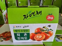 [무농약] 퇴촌 대추방울토마토 2kg, 1개 : 퇴촌 호동농장