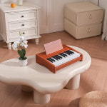 25 Keys Electronic Music Instrument Toy : 트리피플프로페셔널