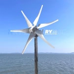 RY 저렴한 1KW 3KW 12V 24V 48V 수평 풍차 터빈 5kw 발전기 가정용 농장 비용을위한 무료 에너지 발전 : 프린스타41