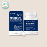 철갑상어 콘드로이친 뮤코다당단백 콘드로이친1200 60정 x 1개 : 참다운쇼핑몰