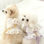 쁘띠미뇽 엔젤 강아지 하네스 S : 따봉이네스토어