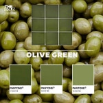 더골드 모자이크타일 G98-OLIVE GREEN 올리브 유광 자기질타일 욕실 주방 : 오로바스브로