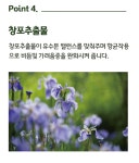 뉴랜드올네이처(알로에), 뉴랜드더마 에센스 트리트먼트 : 뉴랜드올네이처 서산중앙지사