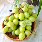 블랙사파이어포도 가지포도 어텀크리스피 애플청포도 : 푸디팜 Foodyfarm